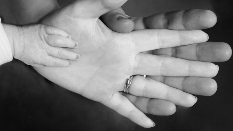 El culebrón ocurrió en Palmira