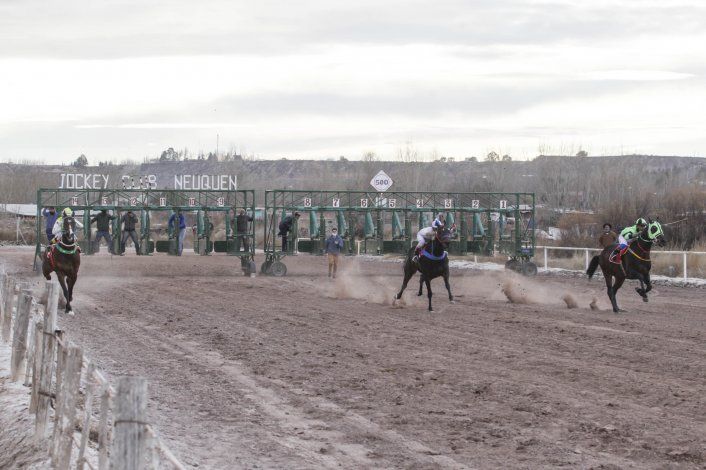 Acusaron  por maltrato animal al dueño y al jockey del caballo que murió tras una carrera