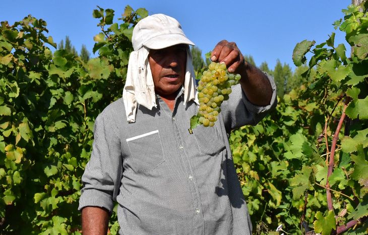 Entre las dificultades para el sector están la falta o deficiencia de conectividad y las dificultades para acceder a financiamiento. Entre las dificultades para el sector están la falta o deficiencia de conectividad y las dificultades para acceder a financiamiento.