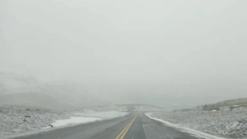 estado de rutas neuquen.png