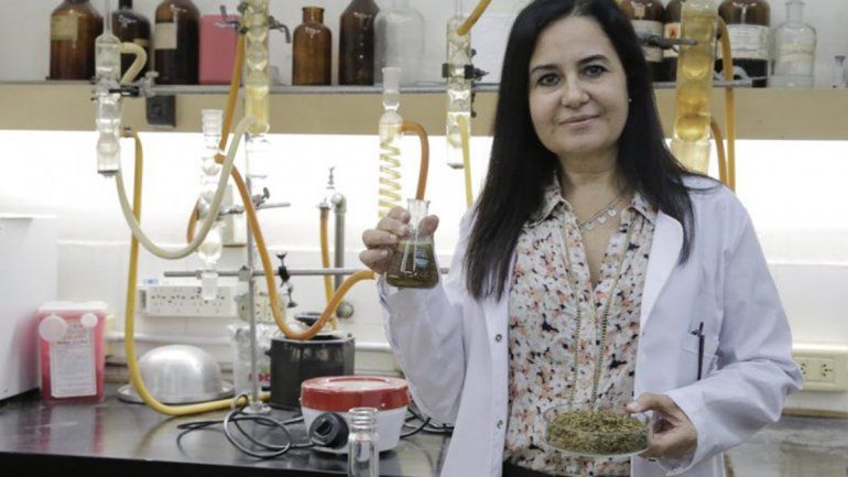 Ecohair es furor en Reino Unido: se proyectan ventas por 18 mil unidades.