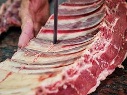 Lejos de recuperarse, los precios del asado siguen cayendo. Lejos de recuperarse, los precios del asado siguen cayendo.