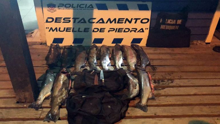 Atrapan a pescador furtivo con 12 truchas en desove
