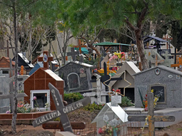 Una mujer denunció un picnic en el cementerio de El Progreso. Una mujer denunció un picnic en el cementerio de El Progreso.