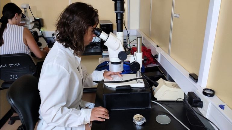 Ayelén Costa, la bióloga que conduce el equipo de investigación del CENPAT-CONICET que relevó los niveles de contaminación en Puerto Madryn y el Golfo Nuevo. Ayelén Costa, la bióloga que conduce el equipo de investigación del CENPAT-CONICET que relevó los niveles de contaminación en Puerto Madryn y el Golfo Nuevo.