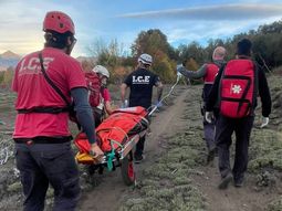 El operativo demandó el trabajo del ICE y el SIEN. El operativo demandó el trabajo del ICE y el SIEN.