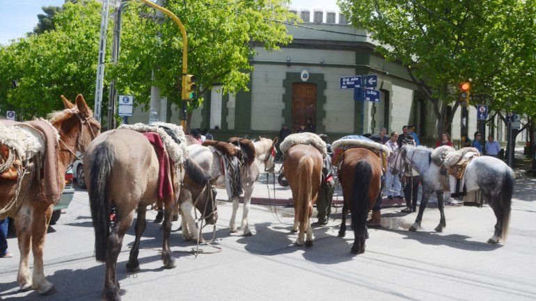 Los crianceros dejaron los caballos estacionados en la Gobernación.