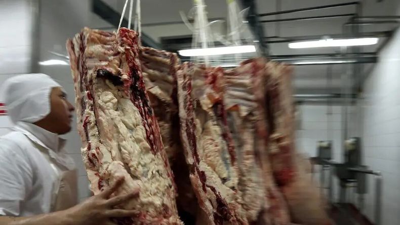 Datos oficiales revelan que el valor promedio del kilo de asado descendió de manera sostenida tras el ingreso de carne con hueso a la región y hoy se ubica incluso por debajo de la media nacional. | LM Neuquen Datos oficiales revelan que el valor promedio del kilo de asado descendió de manera sostenida tras el ingreso de carne con hueso a la región y hoy se ubica incluso por debajo de la media nacional.