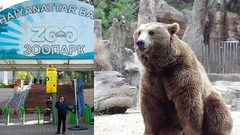 una mujer arrojo a la jaula de un oso a su hija de 3 anos una mujer arrojo a la jaula de un oso a su hija de 3 anos