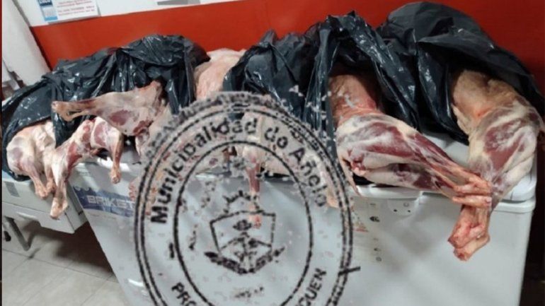 Añelo: dos mujeres intentaron contrabandear 15 chivos faenados