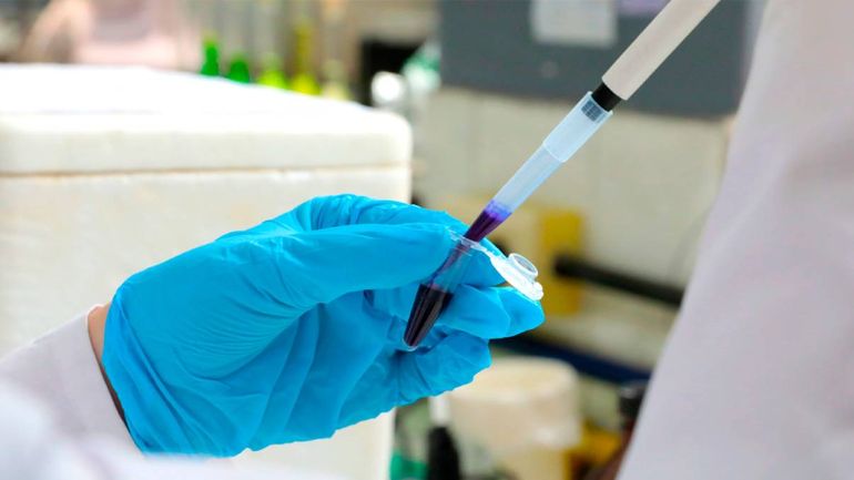 Los investigadores de la UBA desarrollaron un test sanguíneo