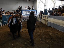 expo rural de conesa: reclamos por previsibilidad, criticas al gobierno y debate por la barrera sanitaria expo rural de conesa: reclamos por previsibilidad, criticas al gobierno y debate por la barrera sanitaria