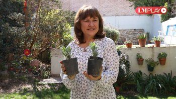 La nueva vida de Ana Pechén como productora de lavanda