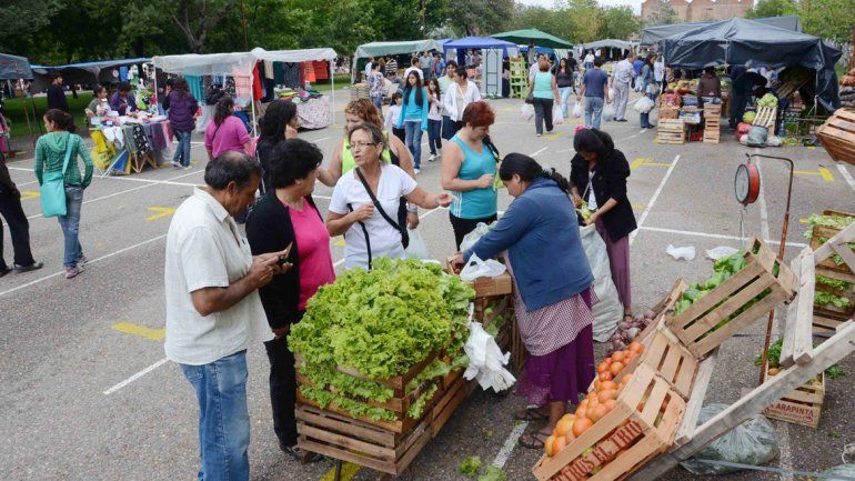 El Municipio asegura que la coordinadora Schiattino está en falta.&nbsp;