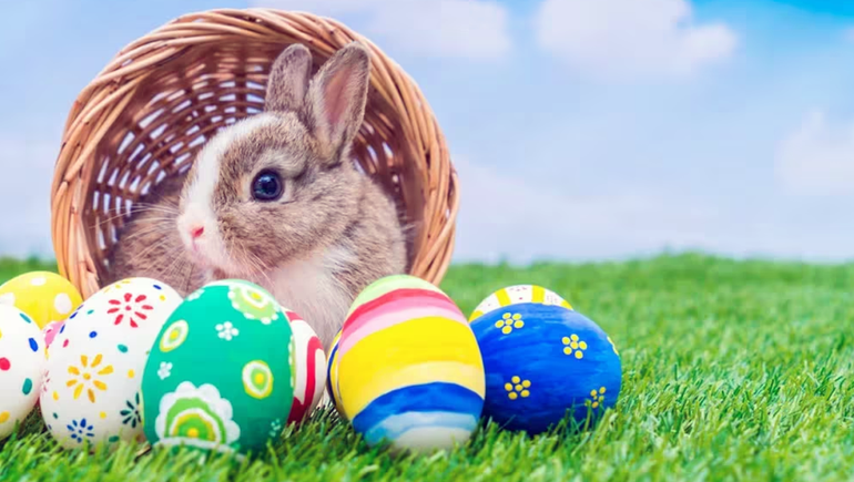 ¿Cuándo se hace la búsqueda de los huevos de Pascua? ¿Cuándo se hace la búsqueda de los huevos de Pascua?