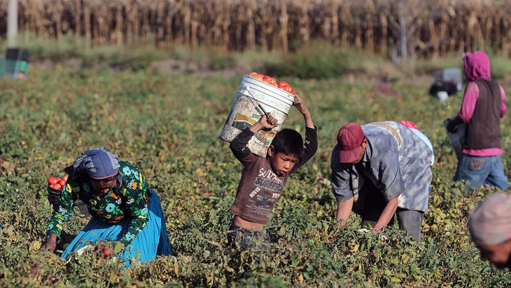 Trabajo informal. El sector acord&oacute; tambi&eacute;n un monitoreo sobre este tema tan delicado.