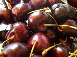 La falta de tamaño y calidad inluyeron en la caída de cotizaciones de las cerezas en China, en un contexto de fuerte sobreoferta. La falta de tamaño y calidad inluyeron en la caída de cotizaciones de las cerezas en China, en un contexto de fuerte sobreoferta.