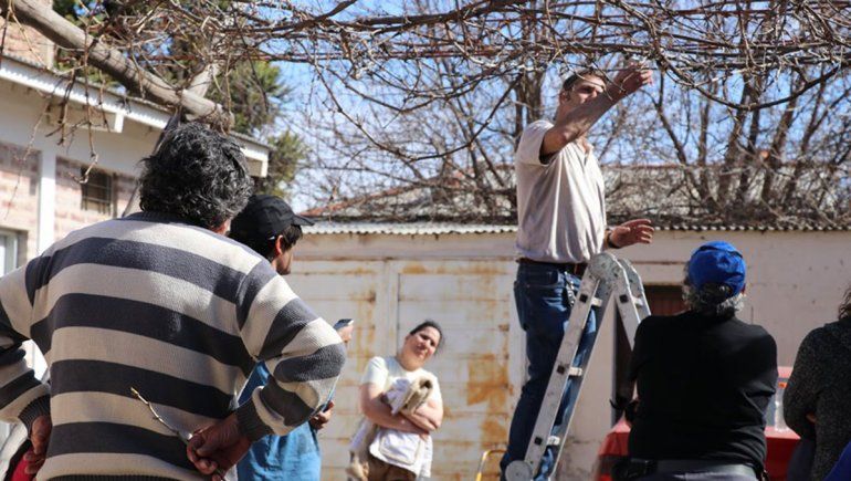 Enseñaron a cuidar parras familiares  y a hacer la poda