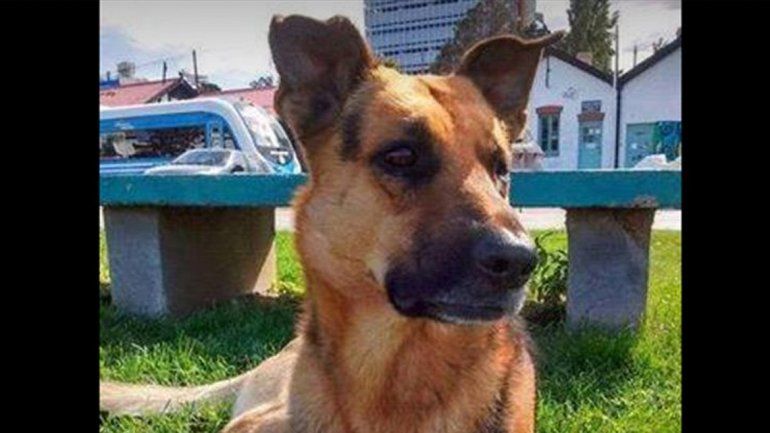 La muerte de Tommy provocó una protesta prevista para mañana.