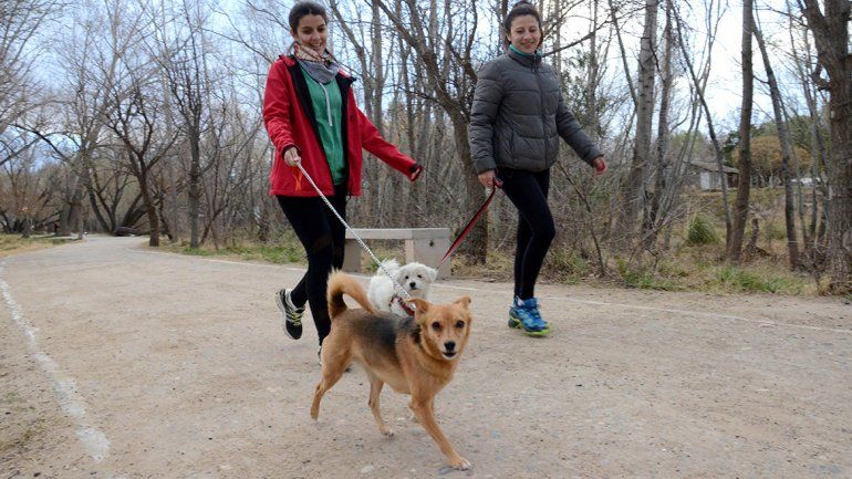Durante el finde, la primavera avisará que está más cerca