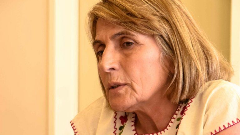 Alma Chani Sapag dijo que se tratarán dos puntos de la ley en 2016.