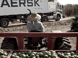 Las exportaciones de España se concentran en los mercados de la Unión Europea. Las exportaciones de España se concentran en los mercados de la Unión Europea.