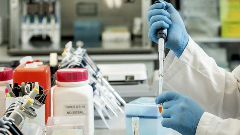 Aval científico al suero equino contra el COVID