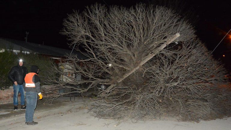 Fuertes ráfagas de viento volaron techos y árboles en Junín