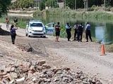 El macabro hallazgo se produjo en Allen.