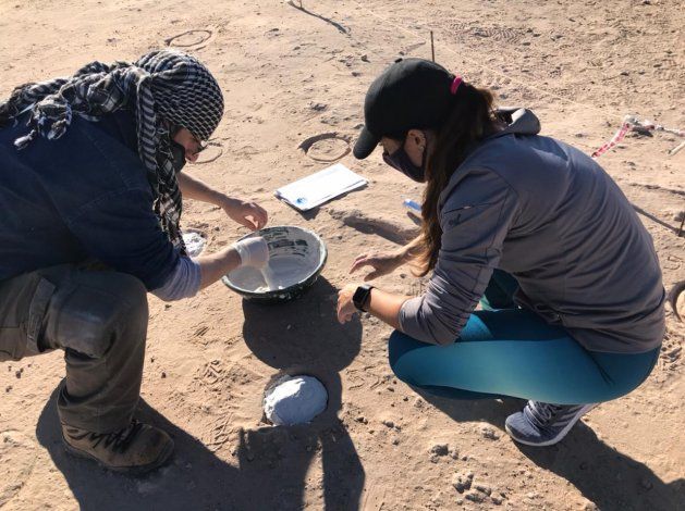 Rescataron 50 huevos fósiles en el campus de la Unco