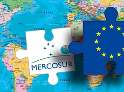 El Parlamento Europeo frena el acuerdo UE-Mercosur y lo envía al Tribunal de Justicia: ¿adiós a la ratificación en años? El Parlamento Europeo frena el acuerdo UE-Mercosur y lo envía al Tribunal de Justicia: ¿adiós a la ratificación en años?