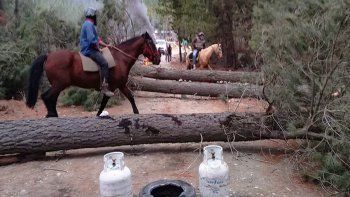 amenazan con prender fuego el bosque para que no los desalojen amenazan con prender fuego el bosque para que no los desalojen