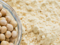 El objetivo de estas pruebas fue consolidar mercadería proveniente de campos que no han sido deforestados. El objetivo de estas pruebas fue consolidar mercadería proveniente de campos que no han sido deforestados.