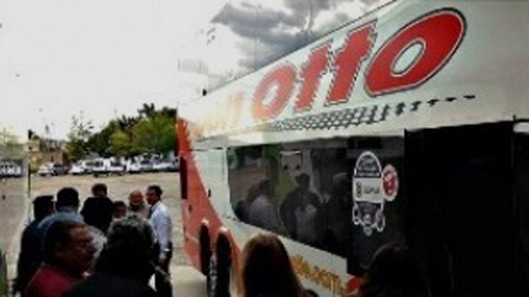 Pánico por el hallazgo de una víbora en un colectivo en Viedma