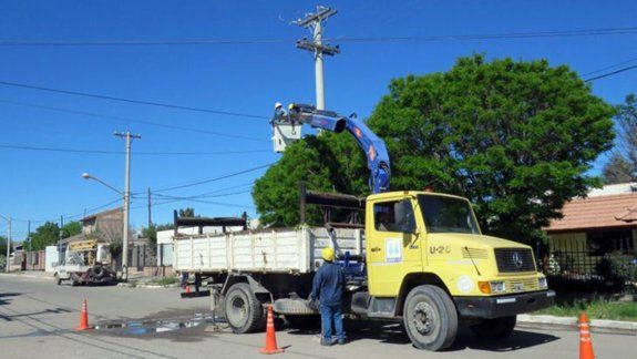 Siete barrios de Cutral Co se quedaron sin luz por una paloma
