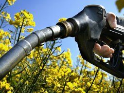 aumentan los precios de los biocombustibles: ¿vuelve a subir la nafta?