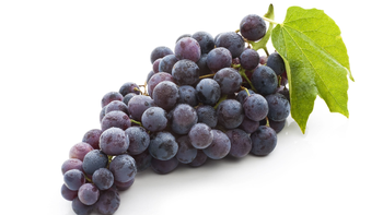 ¿como se llama tu uva?: confusiones y rarezas