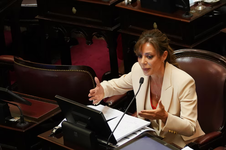 La senadora salteña Flavia Royón ejecutó un sólido discurso sobre el final del debate de la ley de glaciares La senadora salteña Flavia Royón ejecutó un sólido discurso sobre el final del debate de la ley de glaciares
