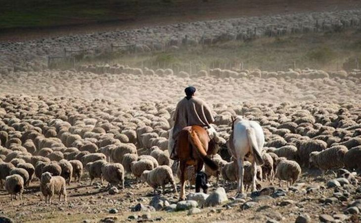 El brote sanitario ya genera rechazos de mercados y pone en jaque a frigoríficos y productores patagónicos. El brote sanitario ya genera rechazos de mercados y pone en jaque a frigoríficos y productores patagónicos.
