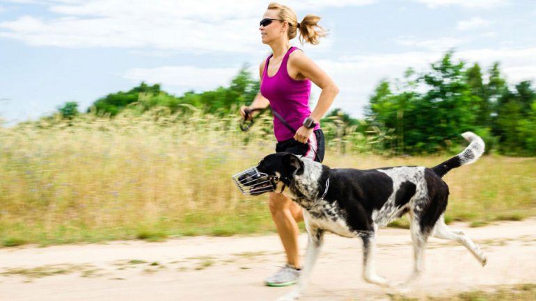 El perro, compañero ideal para ir a correr