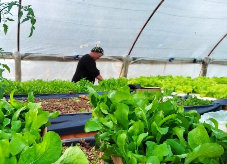 Se sembraron dos especies de peces, tilapia y pacú. Foto: INTA Se sembraron dos especies de peces, tilapia y pacú. Foto: INTA