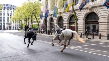 caballos.jpg