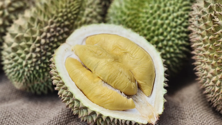 El durián es el fruto comestible de varias especies de árboles del género durio. Existen 30 especies reconocidas nativas de Indonesia, Malasia, Filipinas y Tailandia.