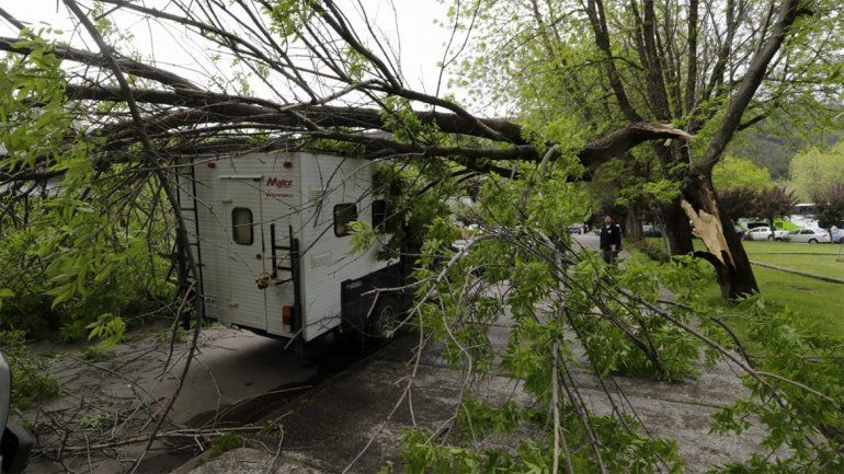 En las ciudades cordilleranas, el viento tiró árboles y voló el techo de una casilla