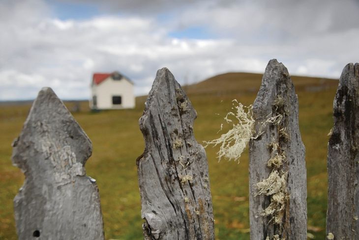 La estación más complicada para la actividad es el invierno. Foto: Instituto Fueguino de Turismo La estación más complicada para la actividad es el invierno. Foto: Instituto Fueguino de Turismo