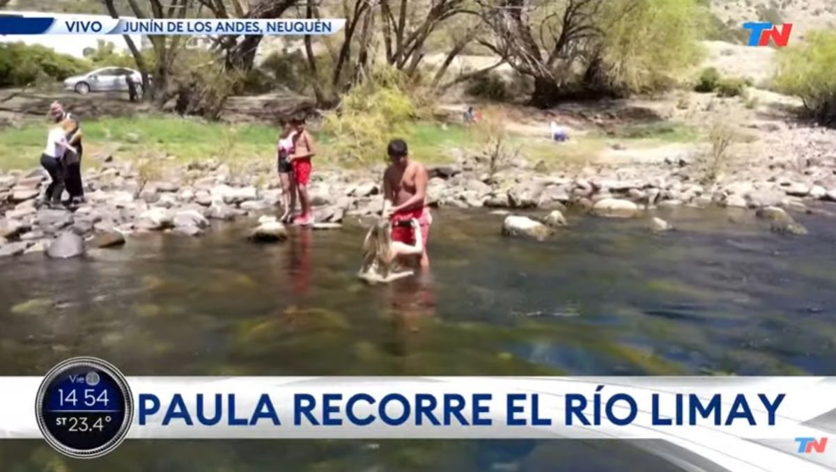 El papelón de TN