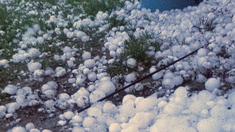 Mariela Martínez comparó las piedras con huevos de pato; el fenómeno duró unos 15 minutos y dejó animales con heridas graves (Foto: Gentileza / La Nación)