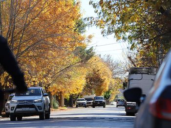 se avecina el tiempo bueno y templado, pero ¿cuando llegara el frio a neuquen?