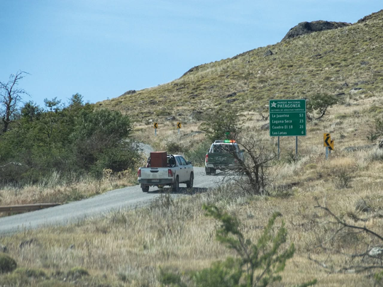 Ganado vacuno pastando en el límite fronterizo entre Argentina y el Parque Nacional Patagonia.