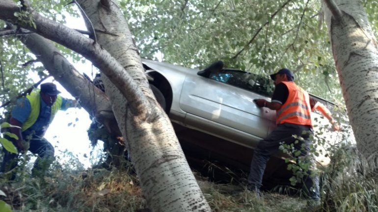 Quiso esquivar un perro y chocó contra un árbol